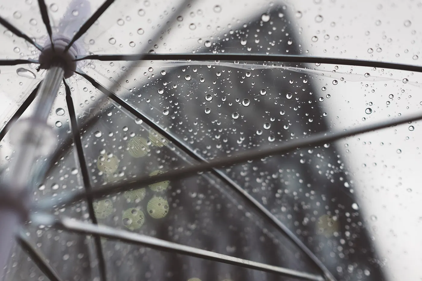 Raindrops on an umbrella