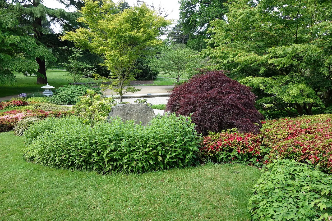 A landscaped garden with shrubs and a curved lawn