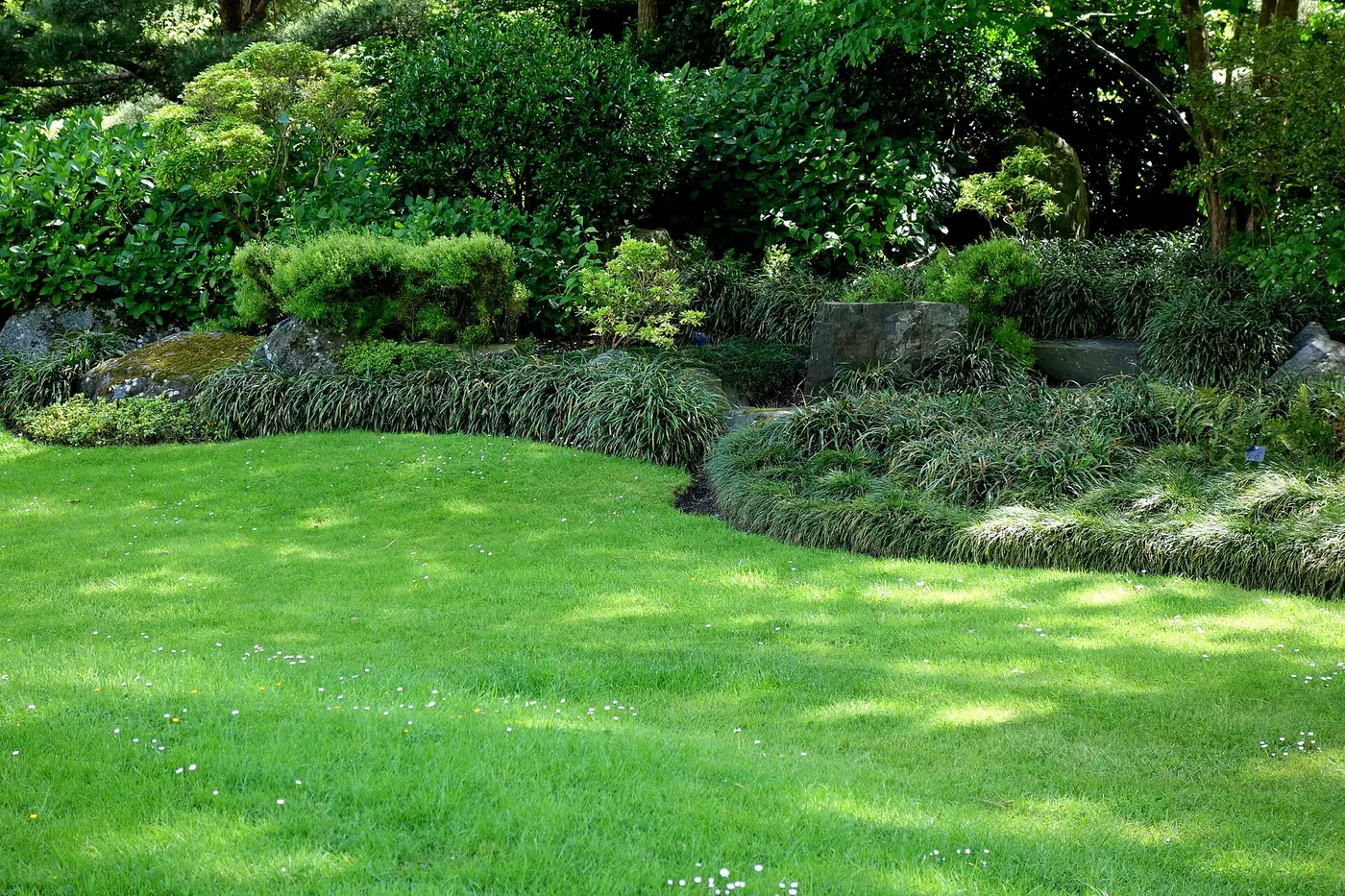 A neat green lawn bordered by planting