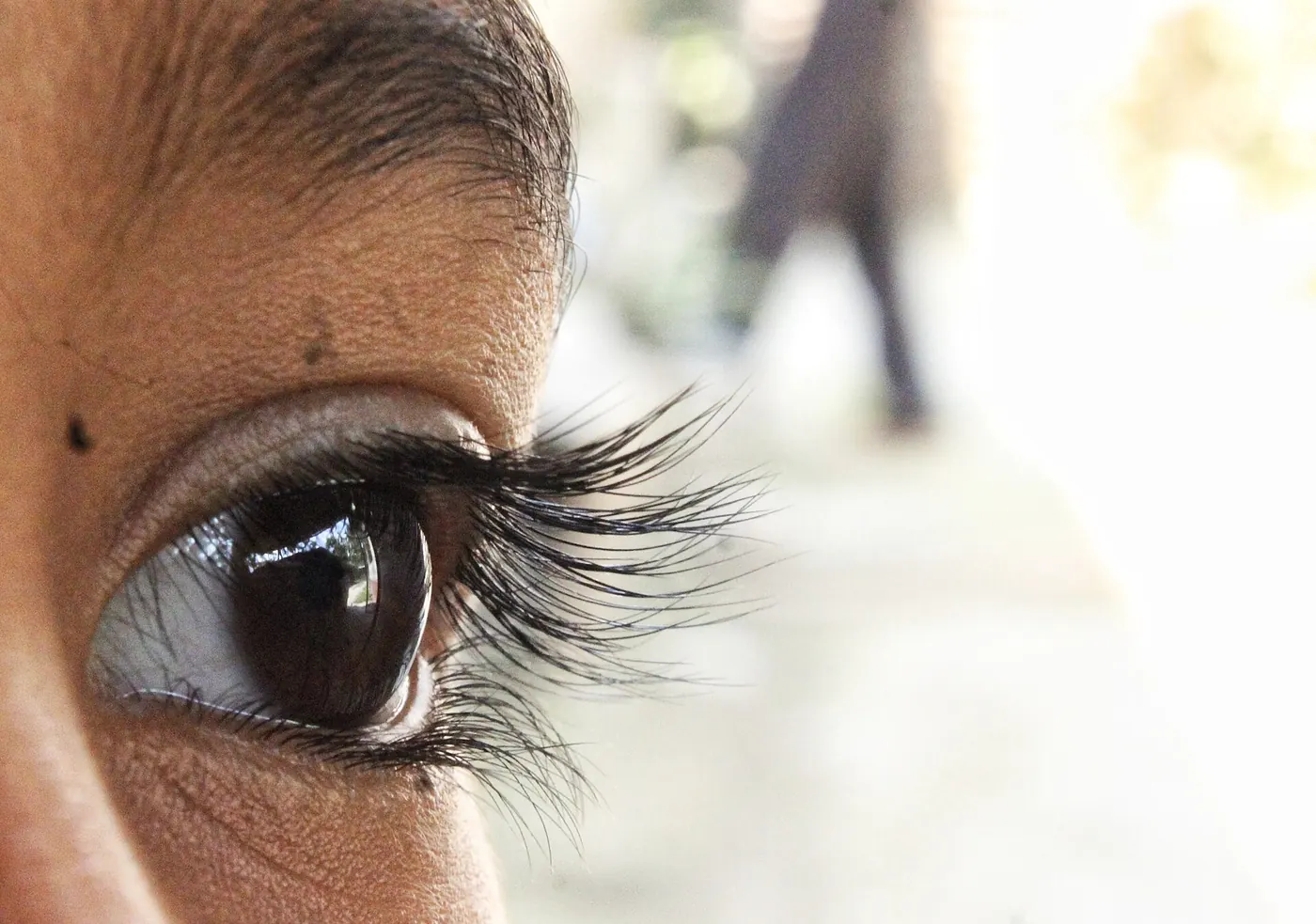Close-up of an eye with long lashes