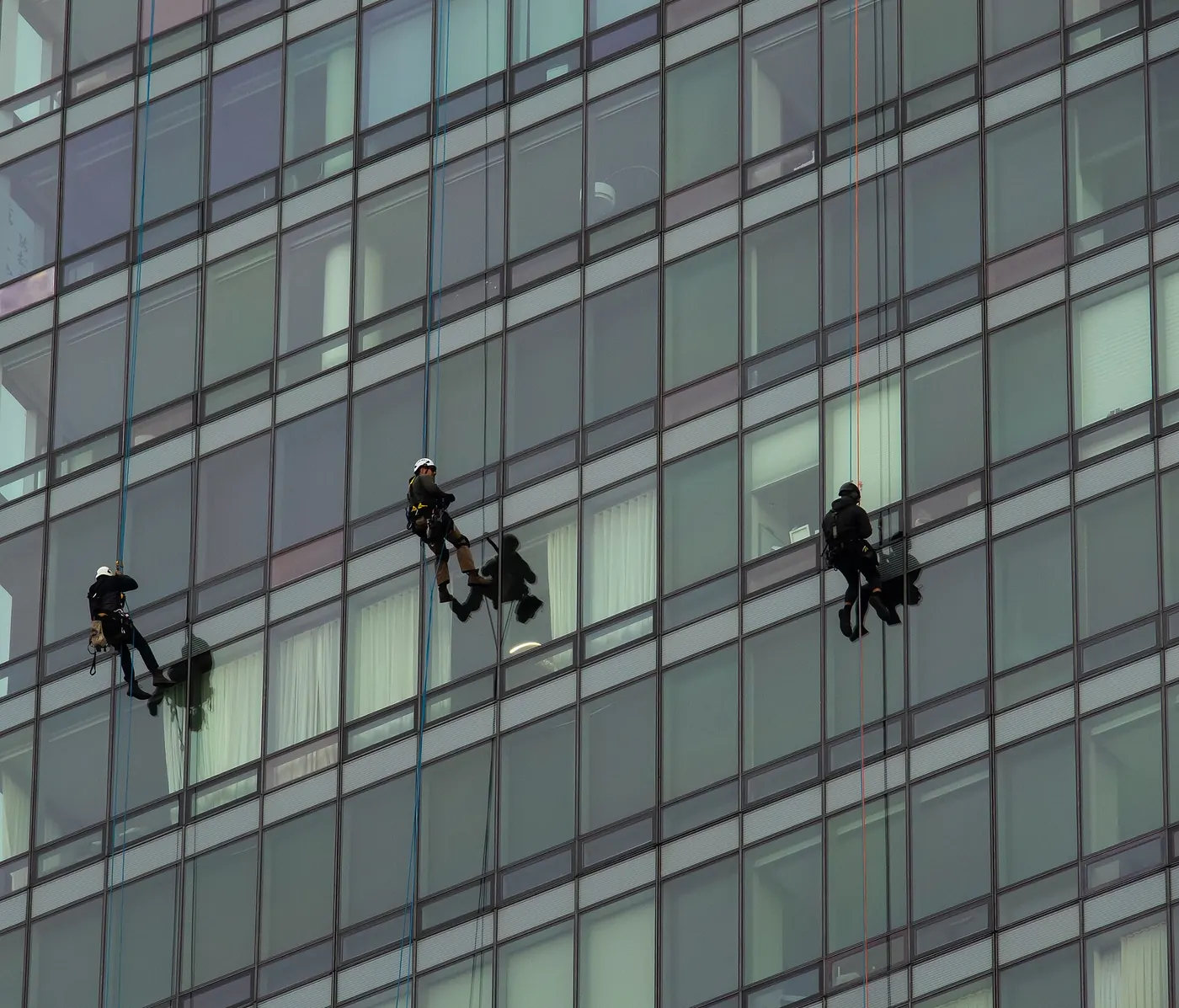 Window cleaners on ropes against a glass facade