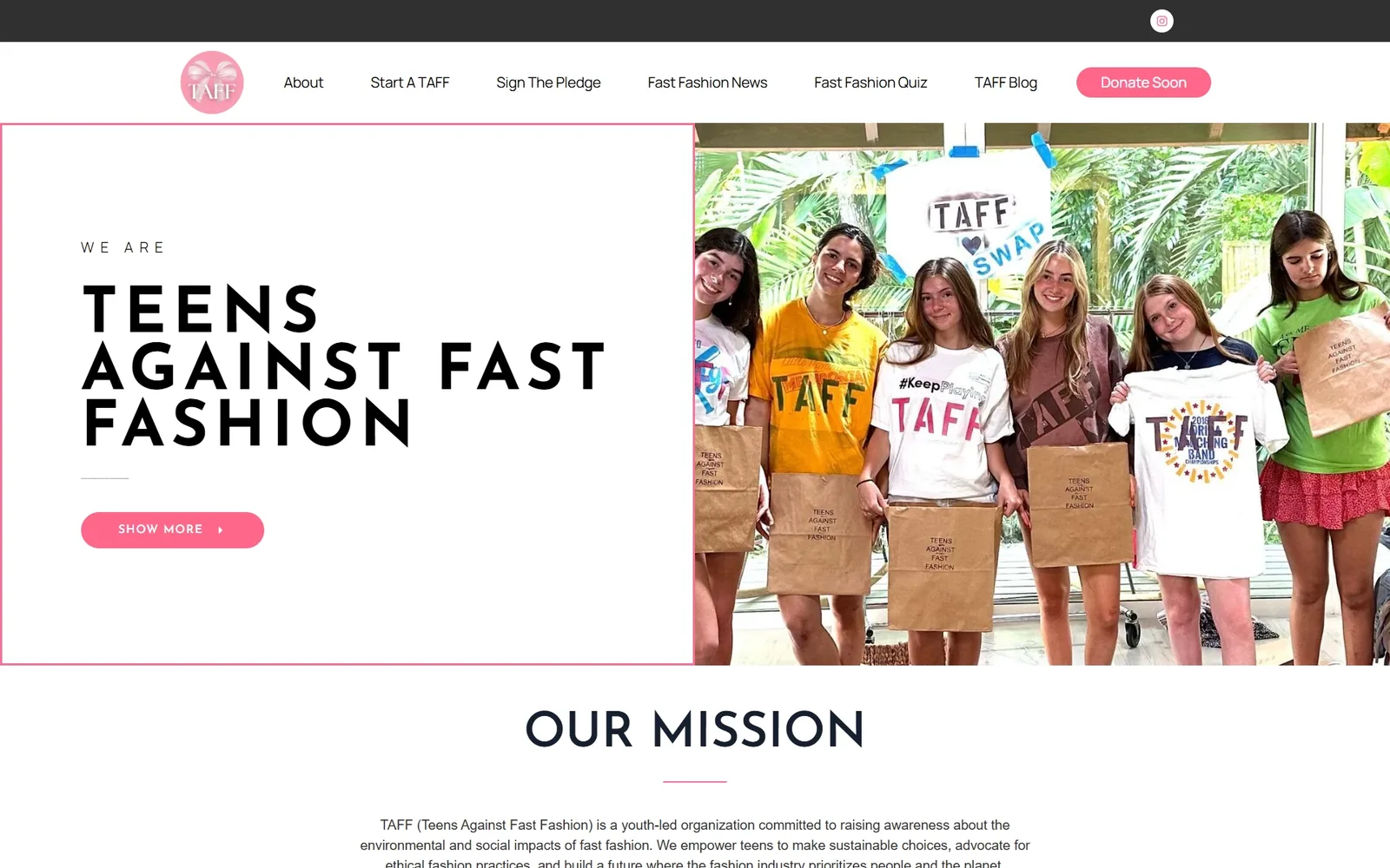 Teens Against Fast Fashion website design